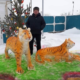 Виктор Ларионов