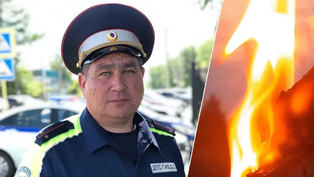 Тимур Низамов